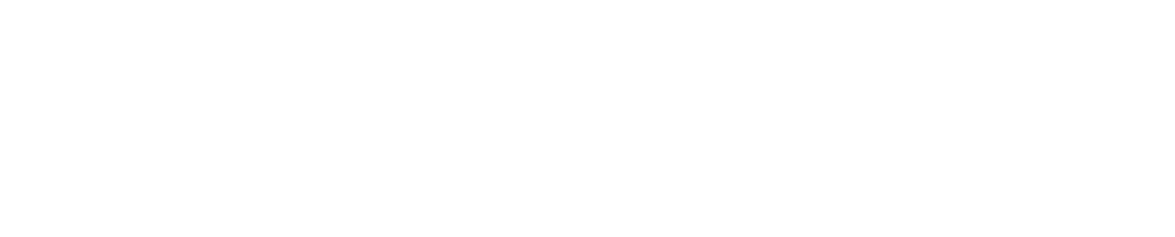 Einhell logo